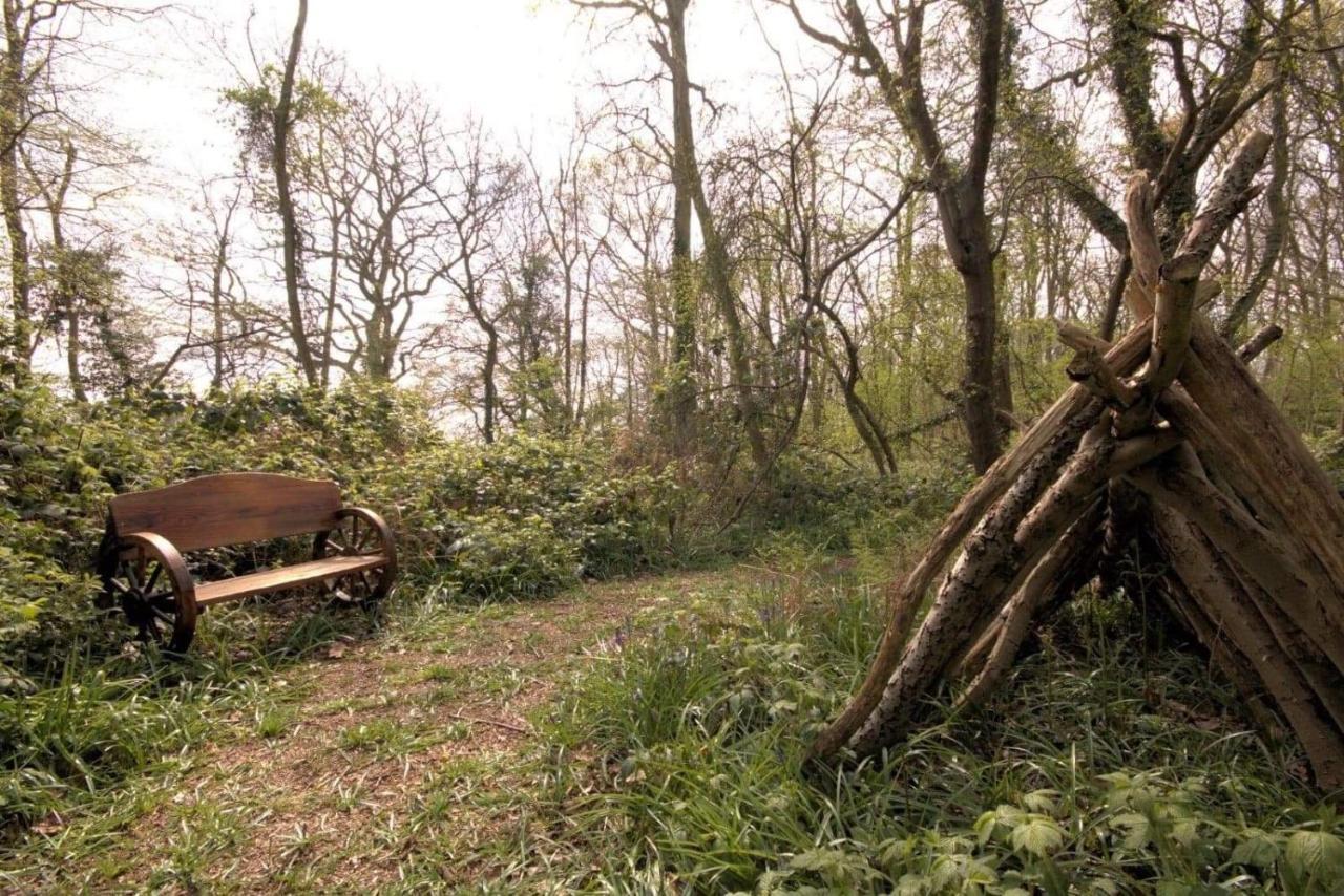 Magical Forest Yurt Sturry Luaran gambar