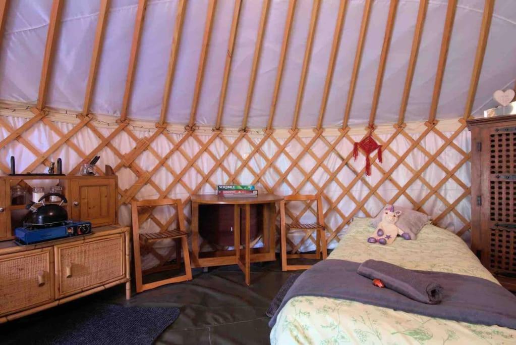 Magical Forest Yurt Sturry Luaran gambar