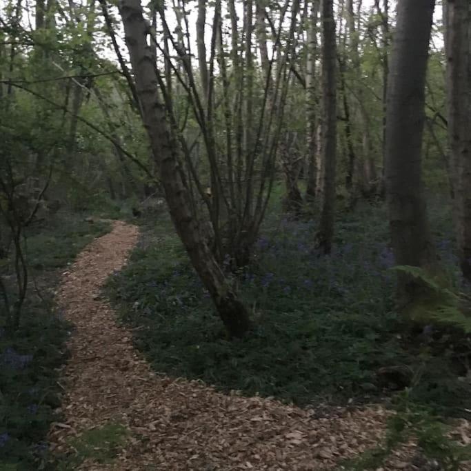 Magical Forest Yurt Sturry Luaran gambar