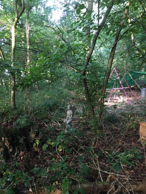 Magical Forest Yurt Sturry Luaran gambar