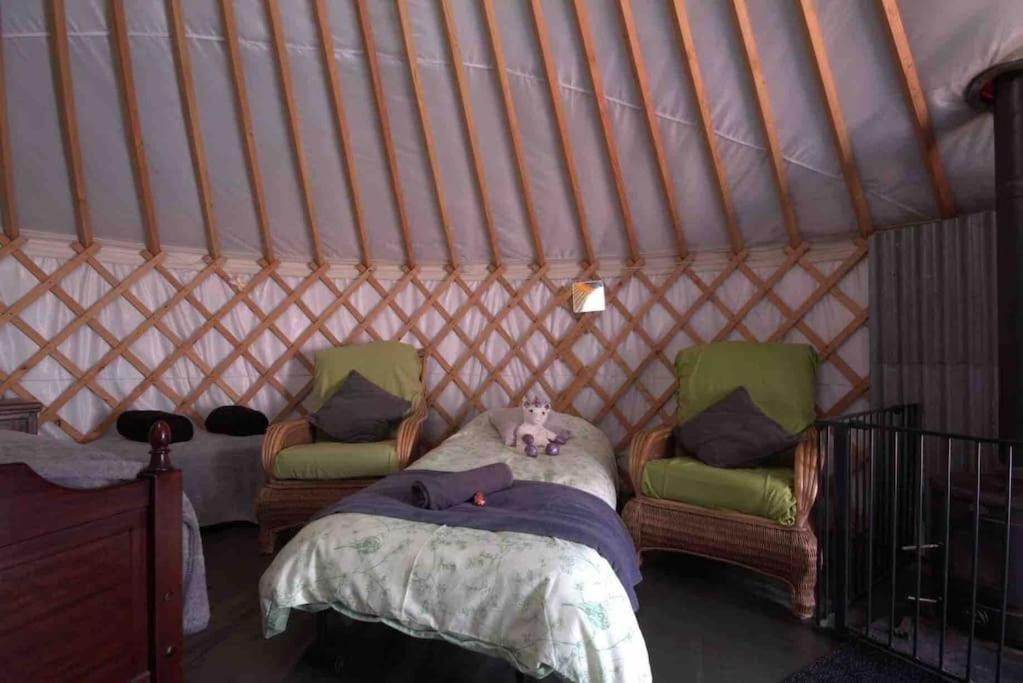 Magical Forest Yurt Sturry Luaran gambar