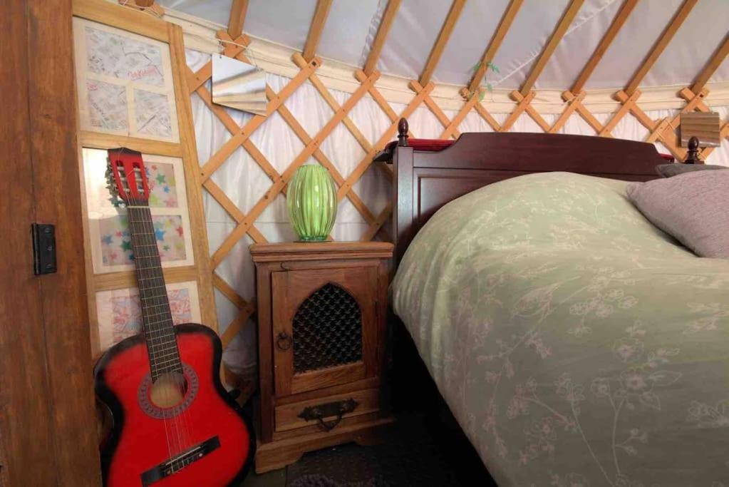 Magical Forest Yurt Sturry Luaran gambar